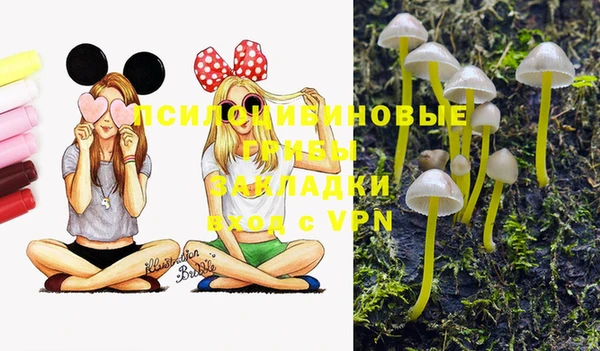 мет Семёнов